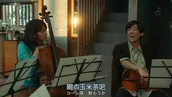 国产打真军在线观看,打真军在线震撼呈现